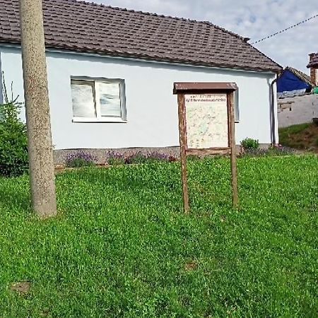 Ubytovani V Tucapech 96 Borsice Buitenkant foto